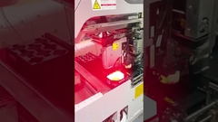 Prueba de la cabeza FUJI NXT H01 (tipo nuevo, sin alfiler) antes del envío